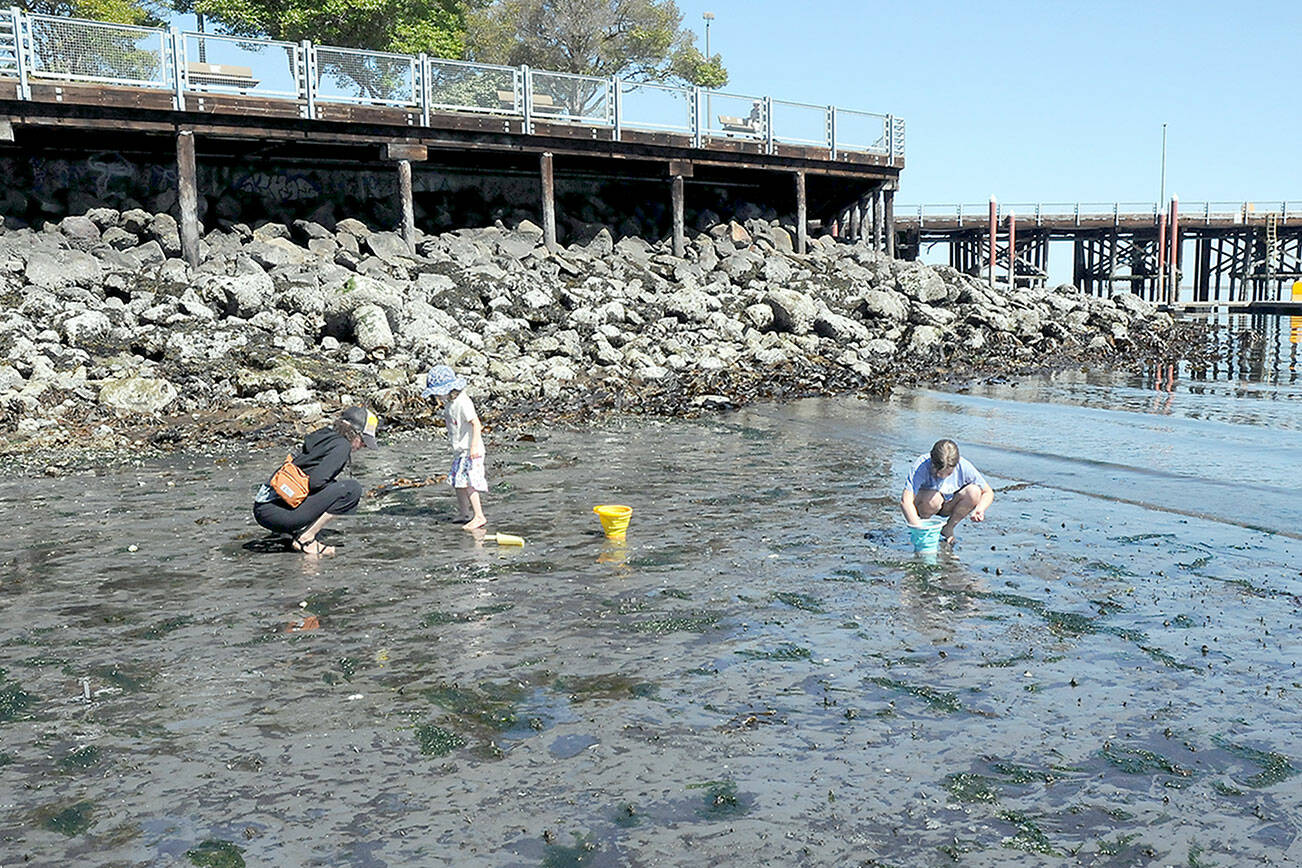 KEITH THORPE/PENINSULA DAILY NEWS
Jill Zarzeczny of Port Angeles, left, and her children, Althea Zarzeczny, 4, and Lupine Zarzeczny, 9, look for marine life beneath the sand during Tuesday's low tide at Hollywood Beach in Port Angeles. The minus 2.99 tide qualified as one of the lowest of the year with tides of minus 2.53 at La Push, minus 2.70 at Makah Bay, minus 2.55 at Seiku, minus 2.74 at Crescent Bay, minus 3.08 at Dungeness, minus 3.42 at Port Townsend and minus 3.82 at Dabob Bay. Similar low tides are forecast for the rest of the week across the North Olympic Peninsula.