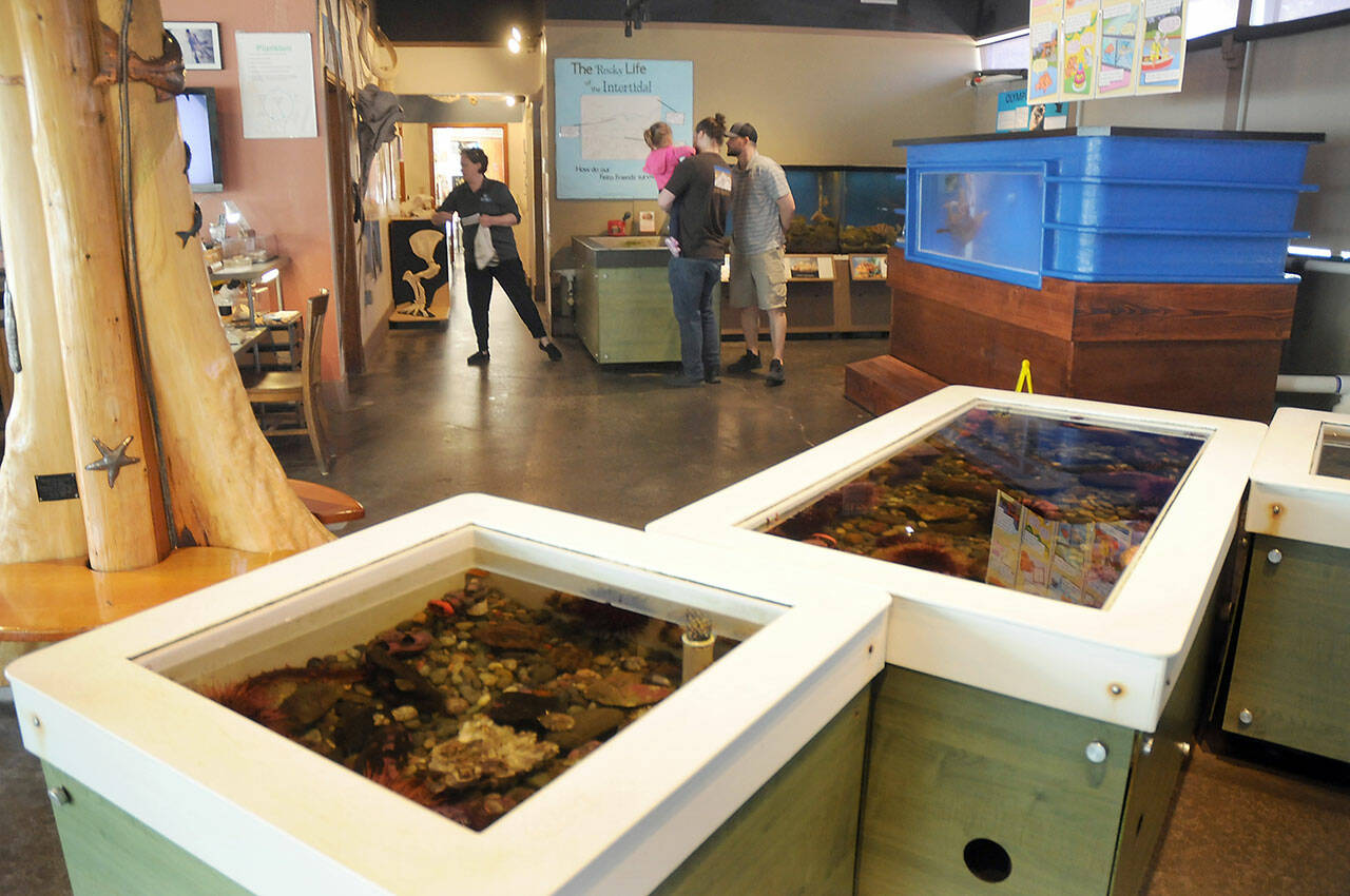 Visitors examine the marine exhibits at the Feiro Marine Life Center at Port Angeles City Pier on Sunday. (Keith Thorpe/Peninsula Daily News)
