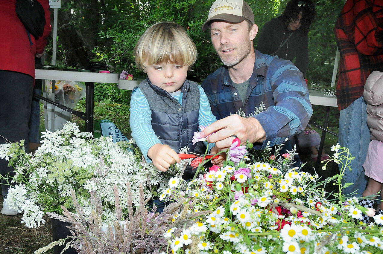 Noah Erickson, 2, snips a flower head with the help of his father, Chris Erickson of Port Angeles, while making a solstice crown headdress during the Summertide Solstice Art Festival on Saturday at the Port Angeles Fine Arts Center and adjoining Webster’s Woods Sculpture Park. The event served as a celebration of the coming of summer with a variety of food, music and outdoor activities. (Keith Thorpe/Peninsula Daily News)