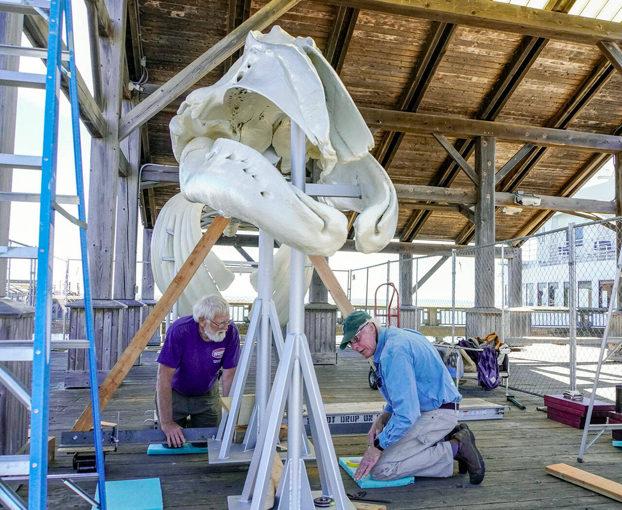Ric Brenden, left, and Les Schtick, volunteers with the Port Townsend Marine Science Center, work on Thursday to build a permanent platform for Gunther, a gray whale that washed ashore on a beach in Port Ludlow four years ago. The completed skeleton will take a few more weeks to assemble in order to be ready for a new, free public educational display on Union Wharf in downtown Port Townsend. (Steve Mullensky/for Peninsula Daily News)