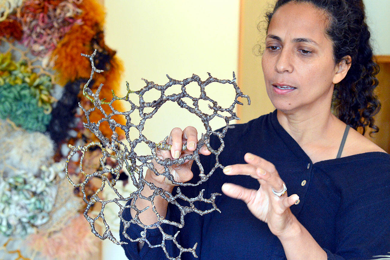 Tininha Silva is one of a trio of women unveiling their fiber artwork in “The Fiber of Our Being,” the new show opening this week in Port Townsend. (Diane Urbani de la Paz/Northwind Art)