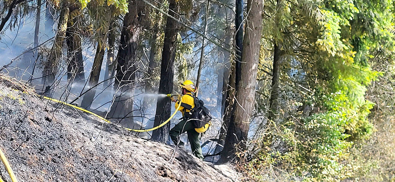 A firefighter uses a hose to fight a 10- to 12-acre brushfire off state Highway 19 near Chimacum on Tuesday. (East Jefferson Fire Rescue)
