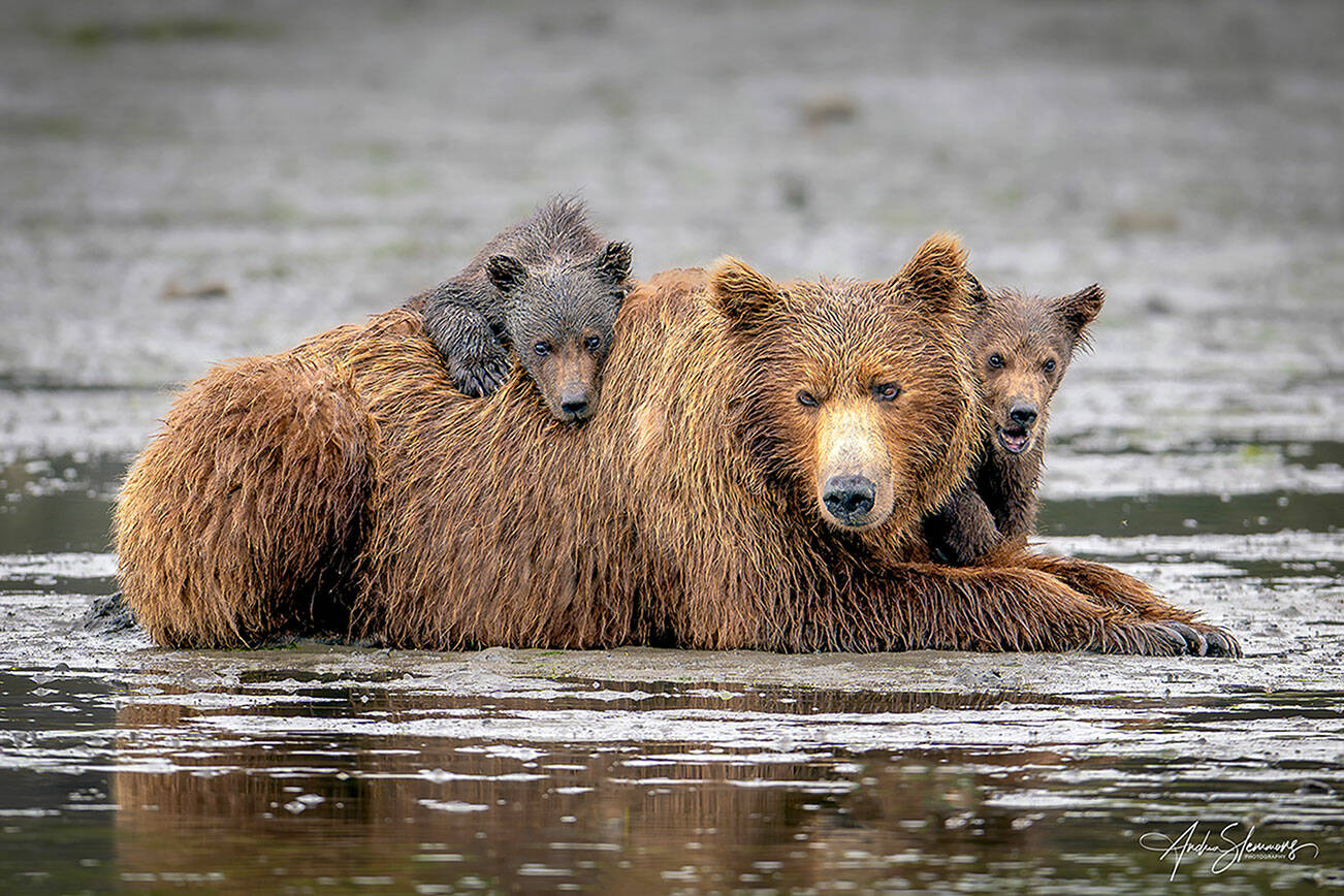 Photographer Andrea Slemmons shows her love of nature in her shots at the Port Townsend Gallery.
