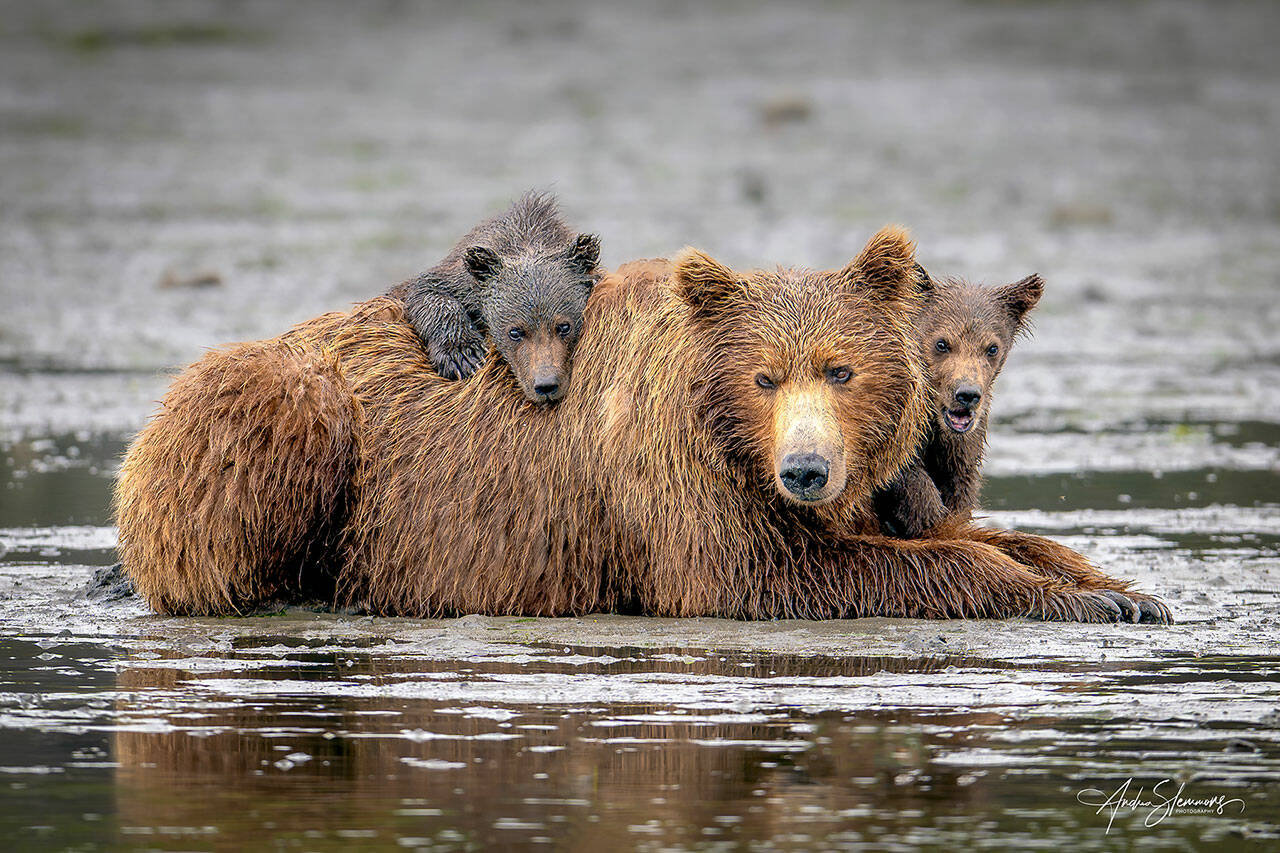 Photographer Andrea Slemmons shows her love of nature in her shots at the Port Townsend Gallery.