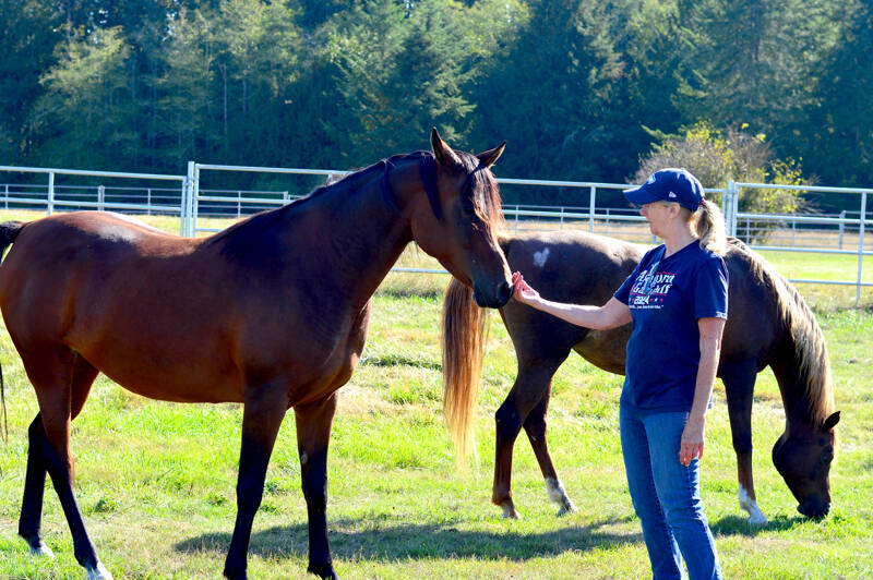Arabian horse expert Sue Unger connects with Ana the bay mare at Chimacum’s Arabians at Egg I on Saturday. Behind them is liver chestnut Arabian mare Joelle. The farm was one of the stops on the weekend’s Jefferson County Farm Tour, which concluded Sunday. (Diane Urbani de la Paz/For Peninsula Daily News)