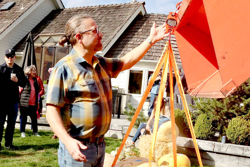 Loren Krause checks the scales on his winning pumpkin, which came in at 297.8 pounds on Sunday. He also placed second with a 202-pound pumpkin. The giant pumpkin contest is conducted each year at the Evergreen Country Estates neighborhood on Goss Road south of Port Angeles. Dan Welden, who started the contest 16 years ago, gives each of his neighbors special pumpkin seeds from the Northwest Giant Pumpkin Growers Association. The growing season starts in May or June and requires daily watering and lots of fertilizer. (Dave Logan/for Peninsula Daily News)
