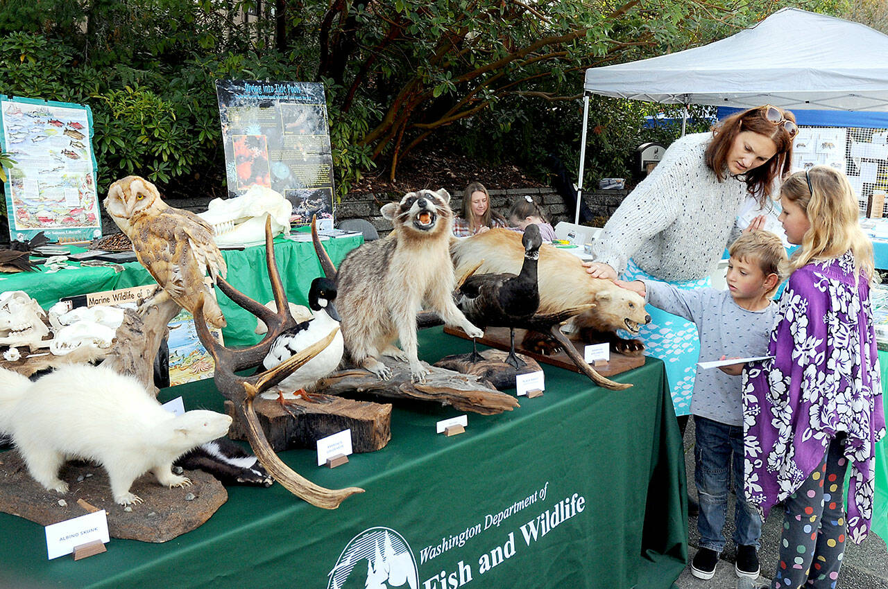 Kara Cardinal of Chimacum and her children, Oliver Cardinal, 4, and Maya Cardinal, 8, examine taxidermy animal specimens at a display assembled by the Washington Department of Fish and Wildlife at Saturday’s Forever Streamfest on the Port Angeles campus of Peninsula College. The event, hosted by the Port Angeles Garden Club and the Clallam County Conservation District, featured numerous displays, exhibits and hands-on activities to raise awareness of the environment and to preserve natural resources. (Keith Thorpe/Peninsula Daily News)