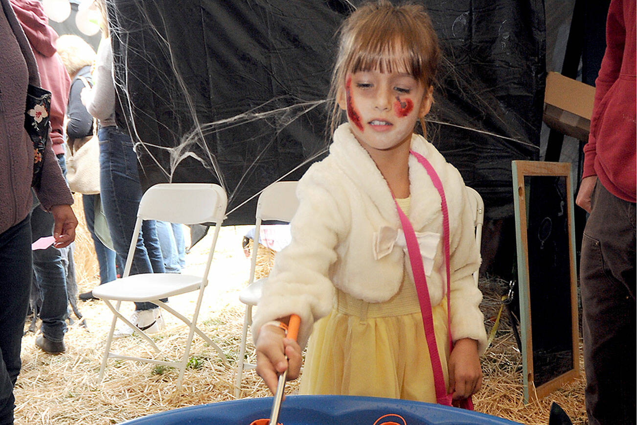 Fern Ollerman, 7, of Sequim nets skulls in a fish tank hoping for treats during Saturday’s Scaredy Cats Howl-o-ween Fall Festival & Haunted House at the Olympic Peninsula Humane Society’s Kitty City campus near Carlsborg. The event featured food, music, treats and a variety of spooky decor, including an animatronic haunted house. The festival was a benefit for the society’s operations. (Keith Thorpe/Peninsula Daily News)