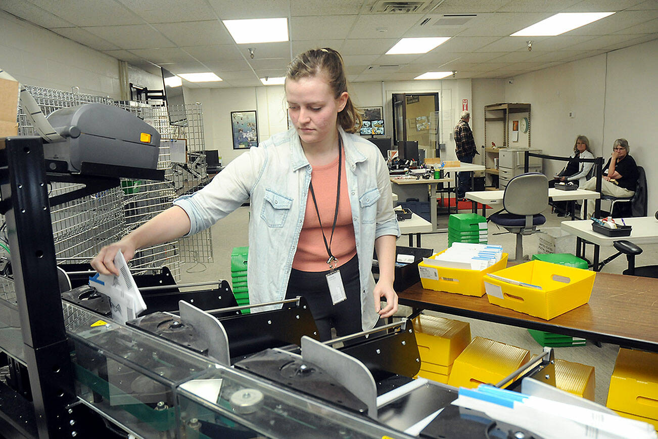 Clallam County election worker Savannah Wise of Port Angeles collects sorted general election ballots for counting at the Clallam County Courthouse in Port Angeles on Tuesday. Full stories on results will be in Thursday’s edition. (Keith Thorpe/Peninsula Daily News)