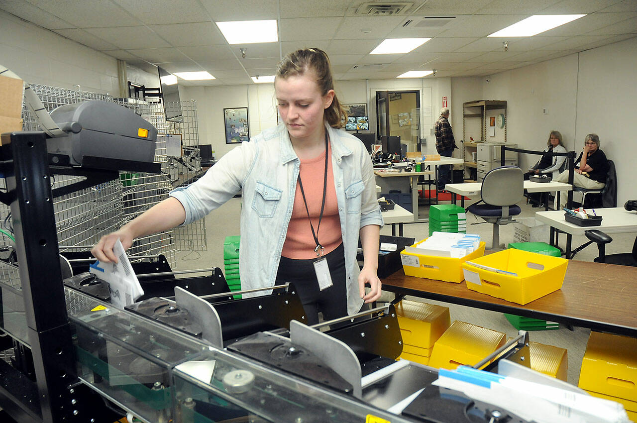 Clallam County election worker Savannah Wise of Port Angeles collects sorted general election ballots for counting at the Clallam County Courthouse in Port Angeles on Tuesday. Full stories on results will be in Thursday’s edition. (Keith Thorpe/Peninsula Daily News)