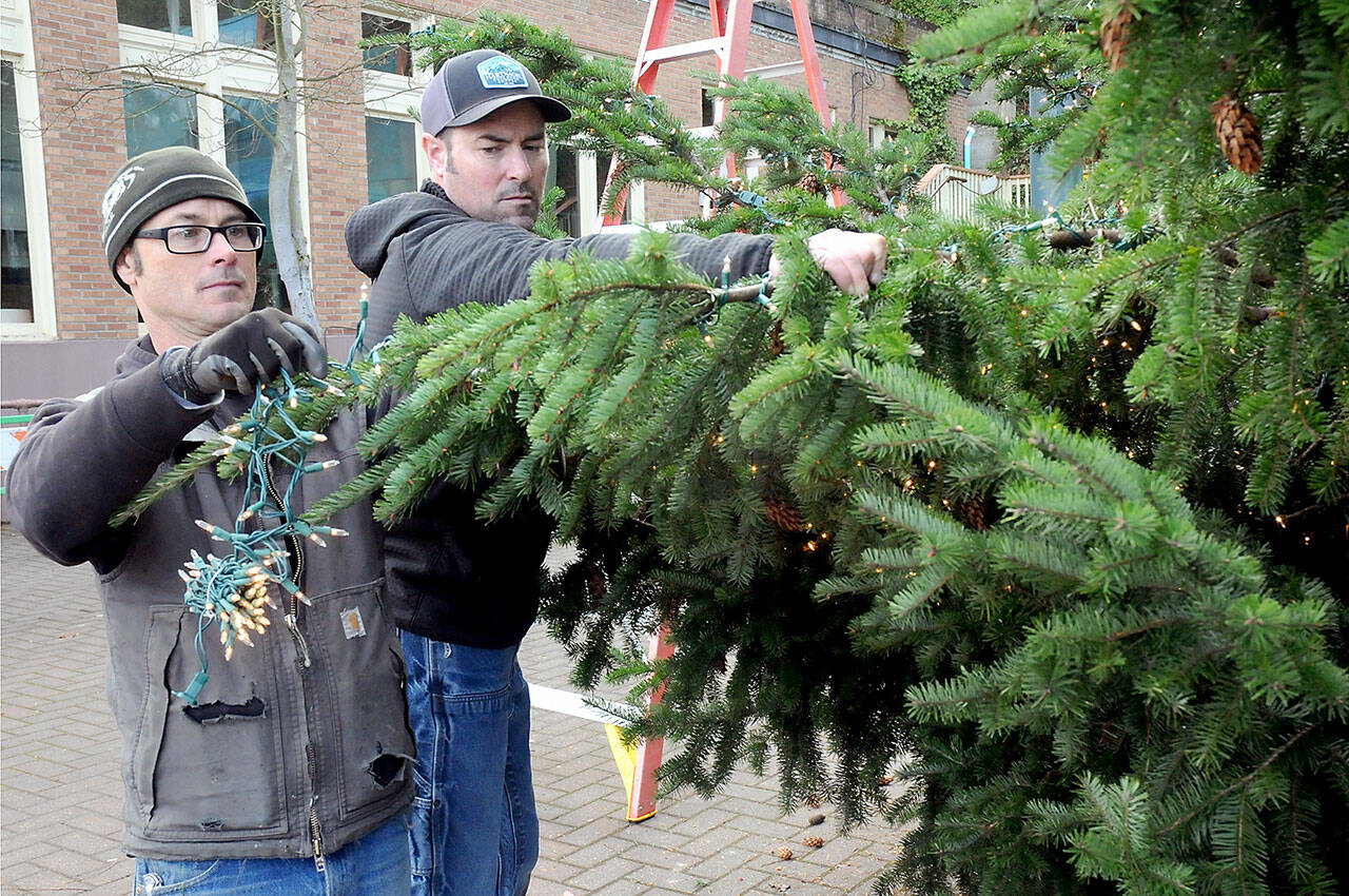 Port Angeles Parks and Recreation Department workers Eli Hammel, left, and Todd Shay string lights on the downtown Port Angeles Christmas tree at the Conrad Dyar Memorial Fountain on Tuesday in preparation for Saturday’s lightning ceremony. (KEITH THORPE/PENINSULA DAILY NEWS)