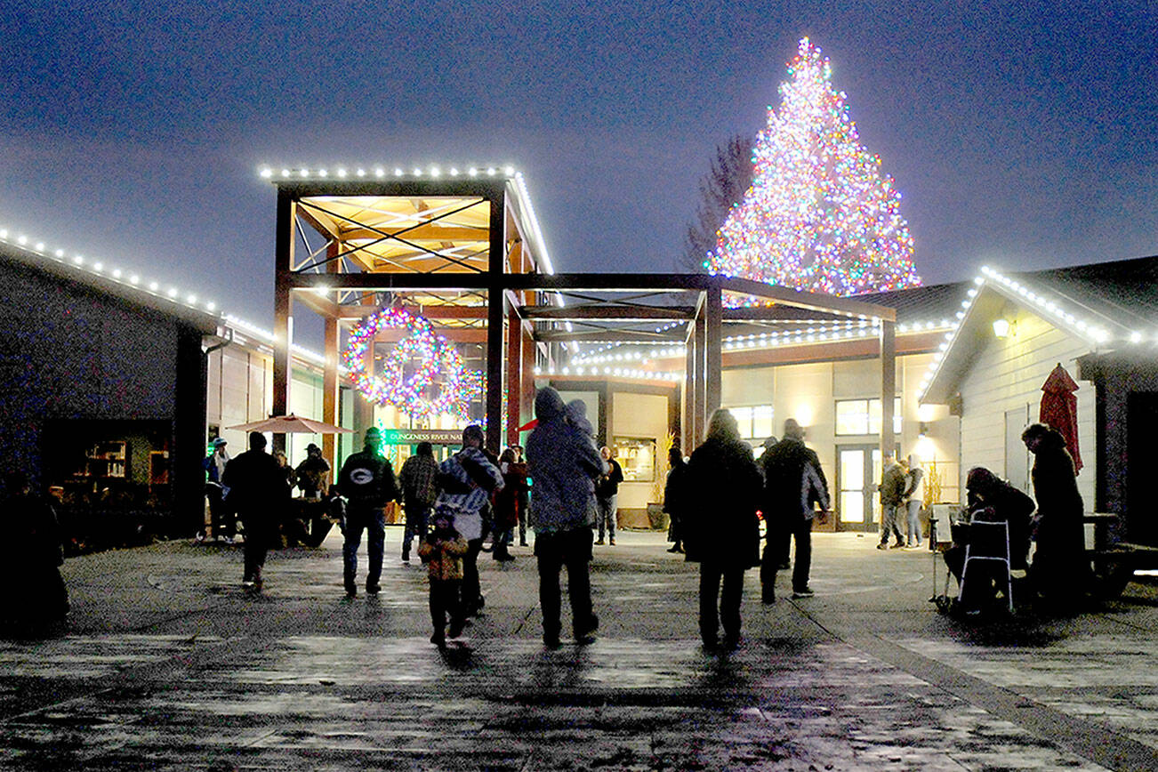 KEITH THORPE/PENINSULA DAILY NEWS
The Dungeness River Nature Center stands illuminated by Christmas lights as visitors roam the outdoor patio after a lighting ceremony for the center and nearby Railroad Bridge on Thursday night in Sequim. Hundreds of people took part in the event, which featured holiday songs by the Sequim High School Choir on the historic bridge over the Dungeness River.