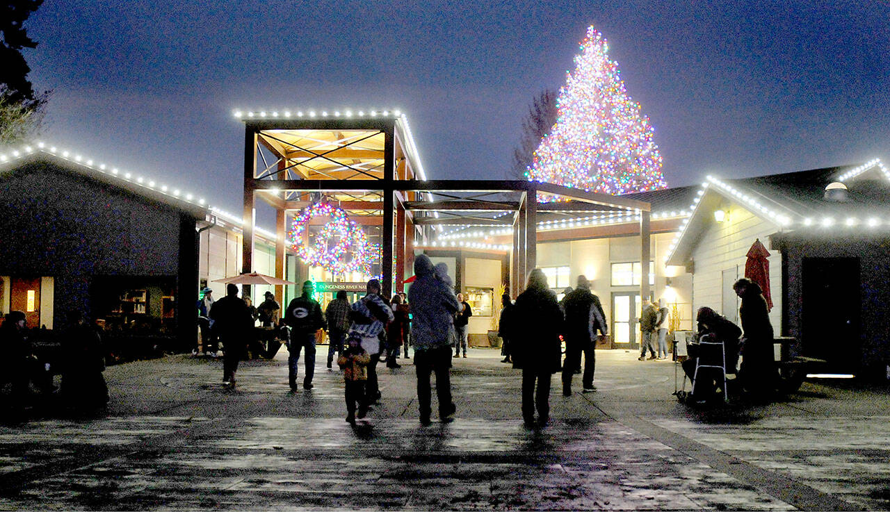 The Dungeness River Nature Center stands illuminated by Christmas lights as visitors roam the outdoor patio after a lighting ceremony for the center and nearby Railroad Bridge on Thursday night in Sequim. (KEITH THORPE/PENINSULA DAILY NEWS)