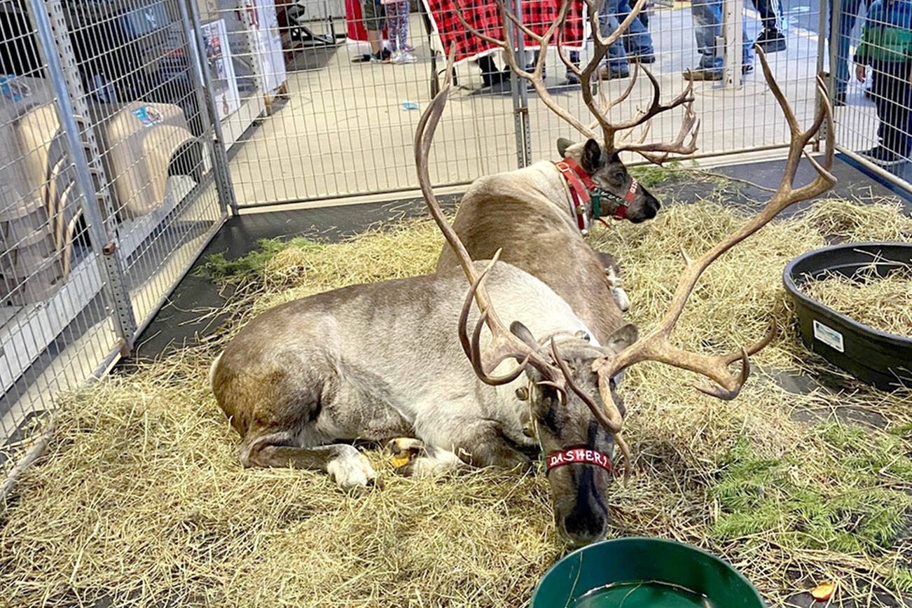 Attached please find a new press release inviting families to meet Santa and his reindeer the day after Thanksgiving at Coastal Farm & Ranch in Sequim.