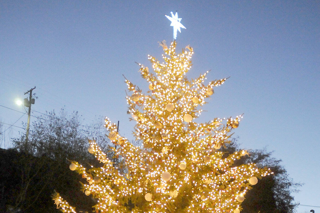 The downtown Port Angeles Christmas tree is surrounded by people during a lighting ceremony on Saturday at First and Lincoln streets. The 30-foot tree will stand at the Conrad Dyar Memorial Fountain plaza through the holidays. (Keith Thorpe/Peninsula Daily News)
