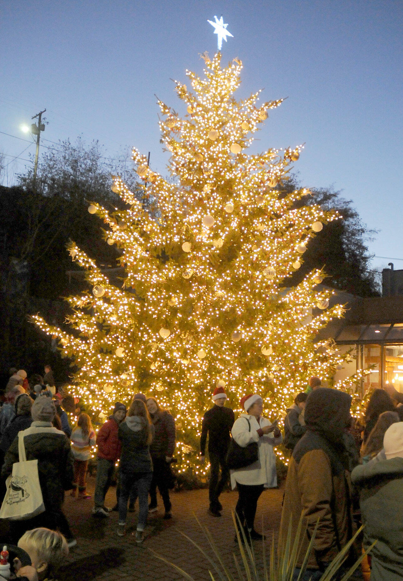 The downtown Port Angeles Christmas tree is surrounded by people during a lighting ceremony on Saturday at First and Lincoln streets. The 30-foot tree will stand at the Conrad Dyar Memorial Fountain plaza through the holidays. (Keith Thorpe/Peninsula Daily News)