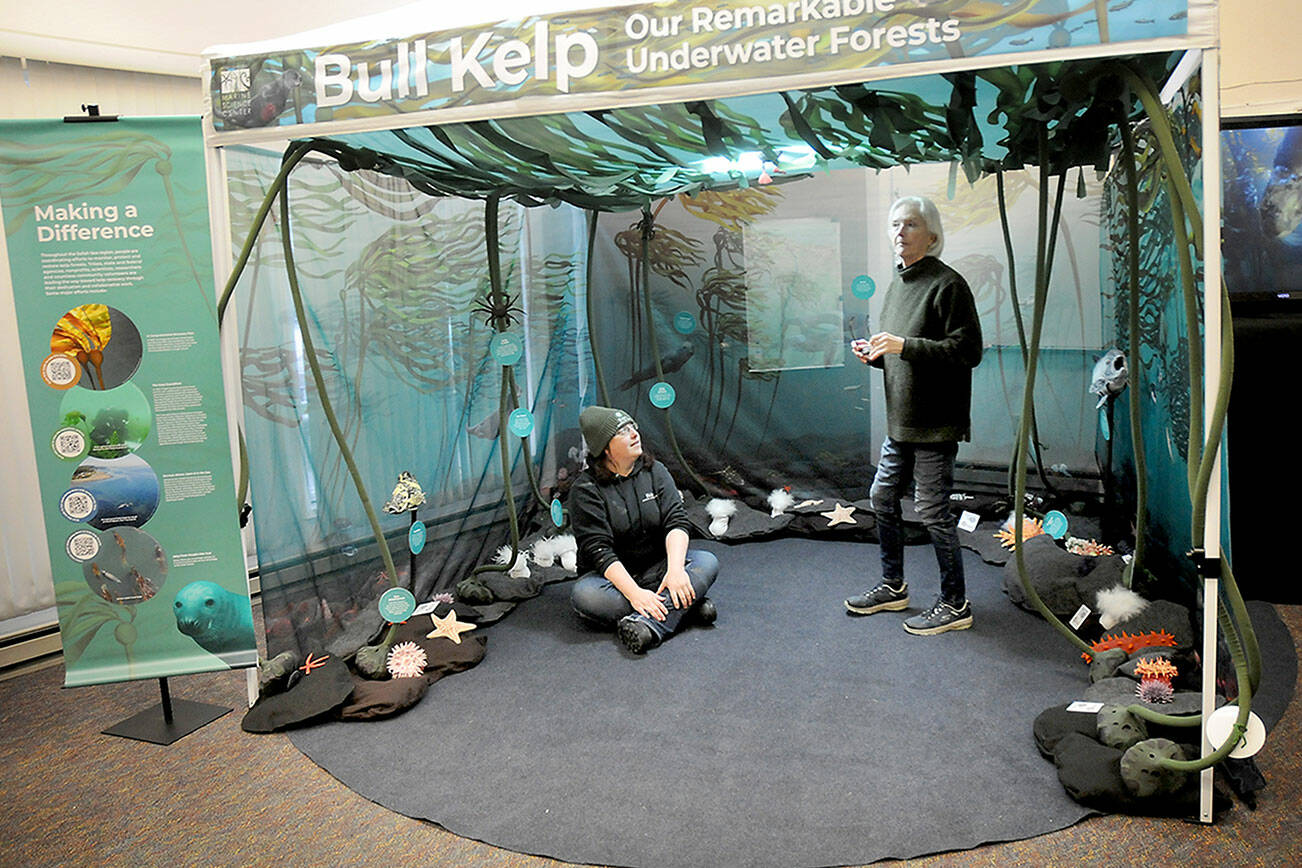 Tamara Galvan, facilities director for the Feiro Marine Life Center in Port Angeles, seated, talks about an interactive traveling bull kelp exhibit with Feiro volunteer Anni Lanigan on Thursday. (Keith Thorpe/Peninsula Daily News)