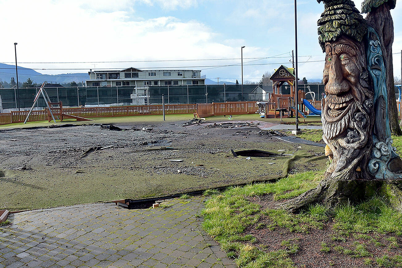 A tree trunk sculpture looks over the scorched site of what was once the main play structure of the Dream Playground at Erickson Playfield in Port Angeles. (Keith Thorpe/Peninsula Daily News)