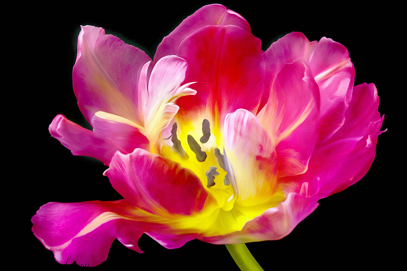 Kay Harper’s Tulip is among the artwork to be seen at Port Townsend Gallery.