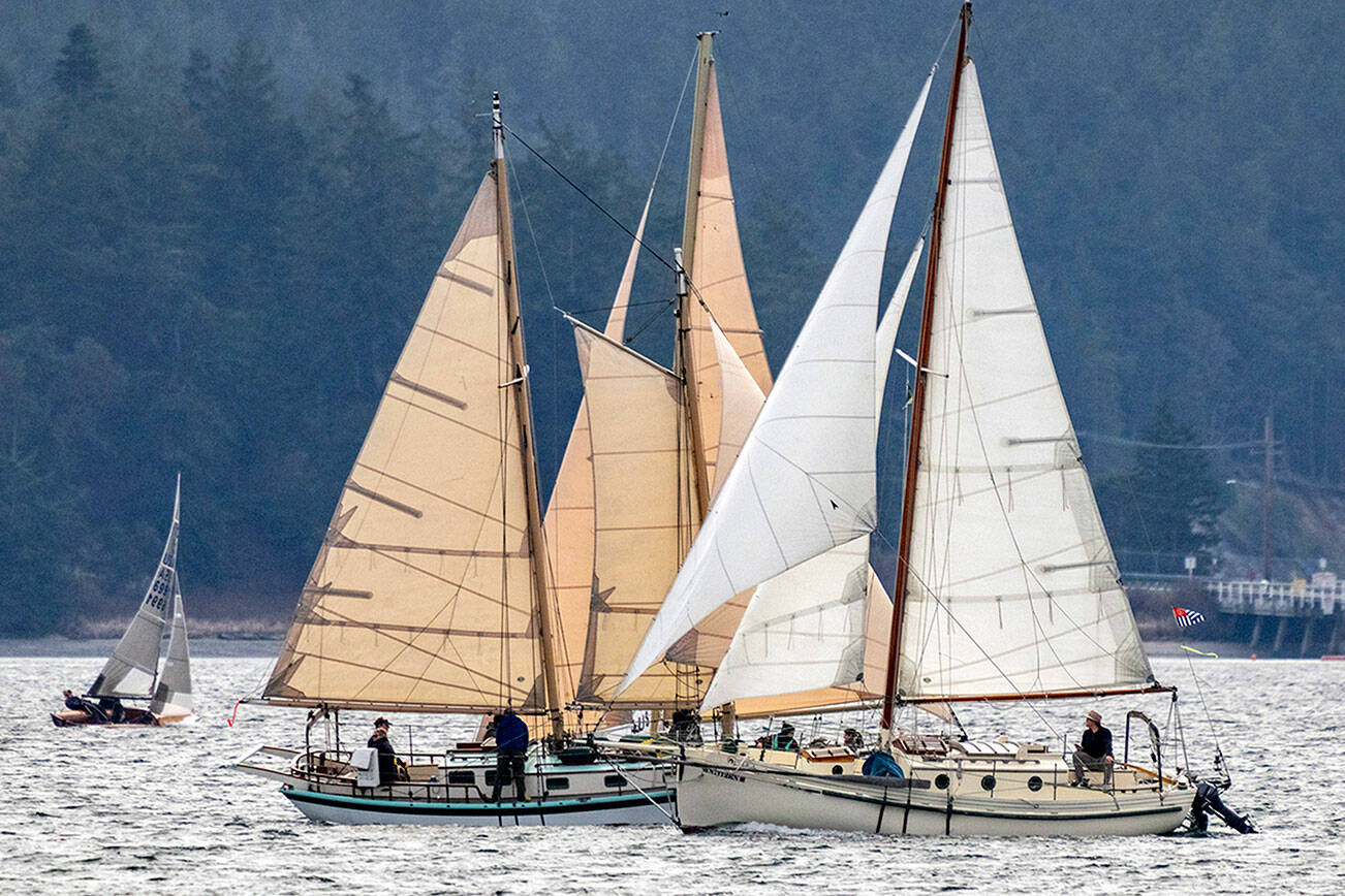About 30 sailboats compete in the Port Townsend Sailing Association’s 33rd annual Shipwrights Regatta on Port Townsend Bay on Saturday. More of a fun event than a sailing competition, awards are given out during a pizza party afterward for the most navigationally challenged (Directional Helmet trophy) and for the “saltiest” boat and crew. (Steve Mullensky/for Peninsula Daily News)