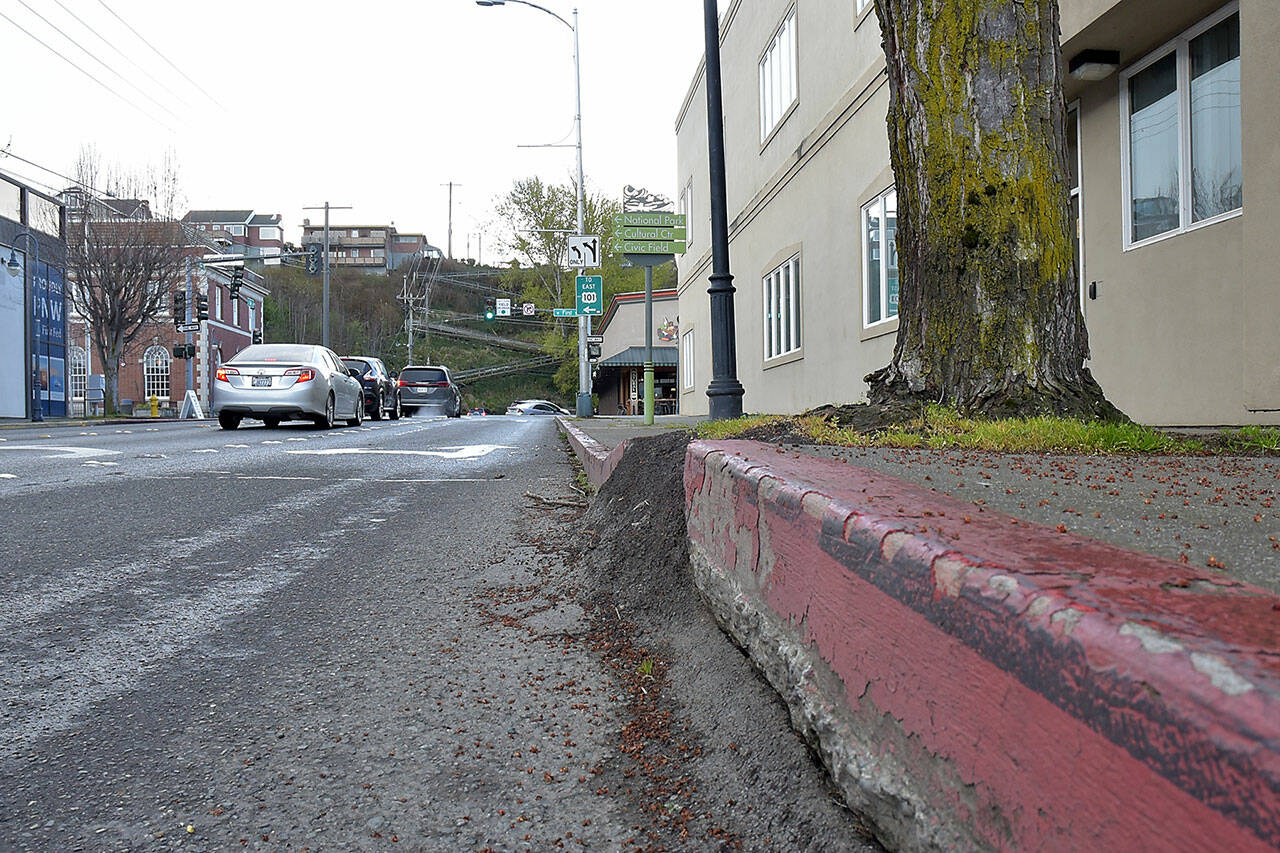 A tree that has grown out of its tree box and shattered a nearby curb and sidewalk in the 100 block of North Oak Street is among those targeted for removal and replacement in downtown Port Angeles. (Keith Thorpe/Peninsula Daily News)