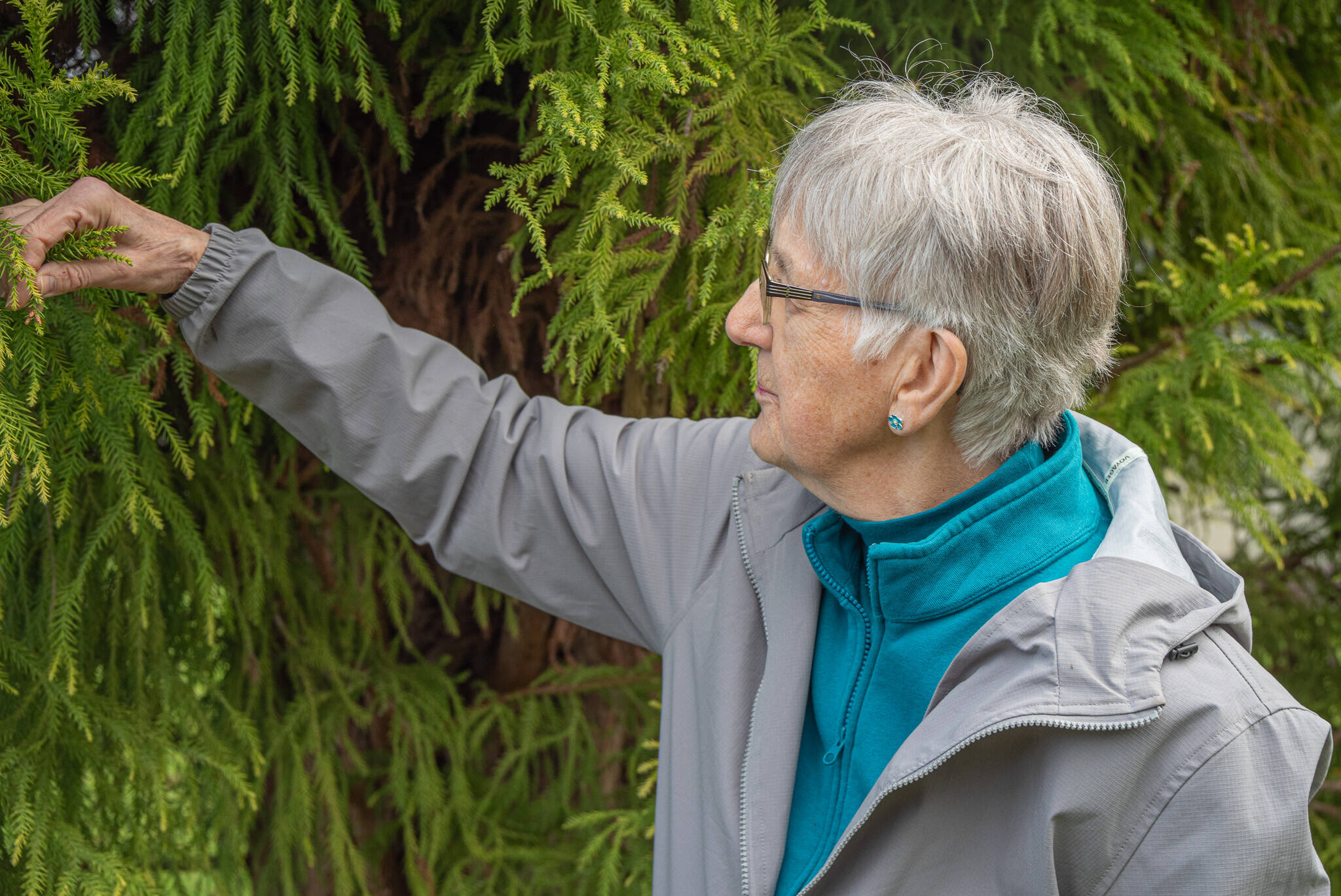 Priscilla Hudson is a member of the Sequim Prairie Garden Club, which is responsible for clearing a weed- and blackberry-choked 4 acres of land and transforming it into an arboretum and garden known as the Pioneer Memorial Park over the last 70 years. (Emily Matthiessen/for Olympic Peninsula News Group)