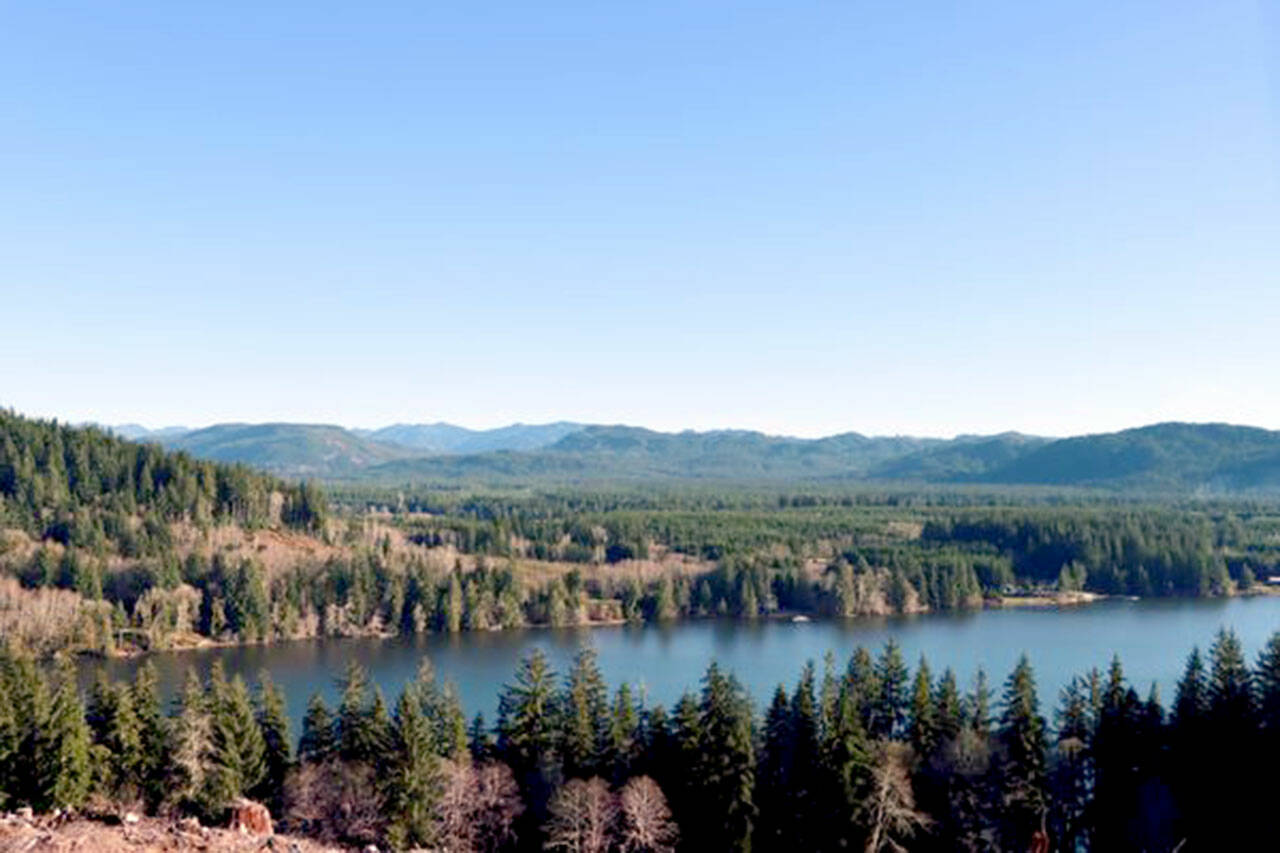 Rayonier Inc. is selling more than 115,000 acres in four units across the West Olympic Peninsula last week as the company looks to sell $1 billion worth of assets. (Courtesy photo / Rayonier Inc.)