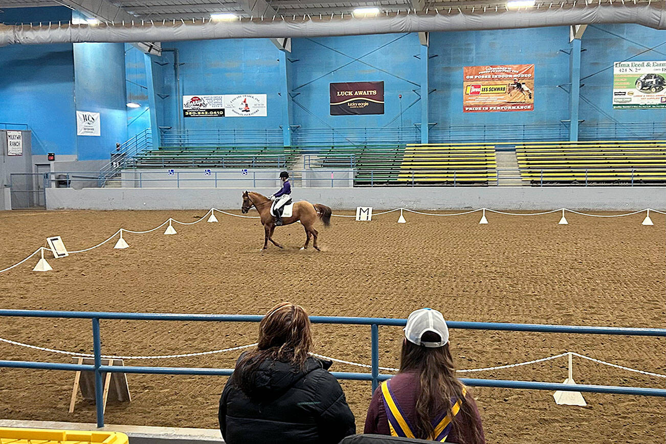 Photo by Katie Newton

By the end of meet three, Sequim High School Senior Sydney Hutton’s multiple wins included Gold in Jumping, Silver in Saddle Seat, Bronze in Dressage.