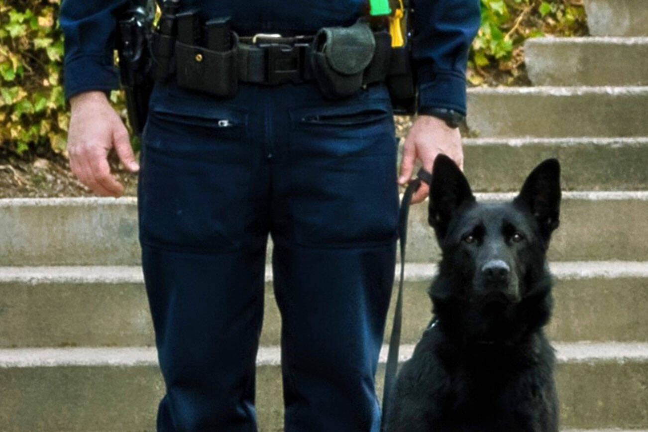 Officers Paul Dailidenas and Mamba
