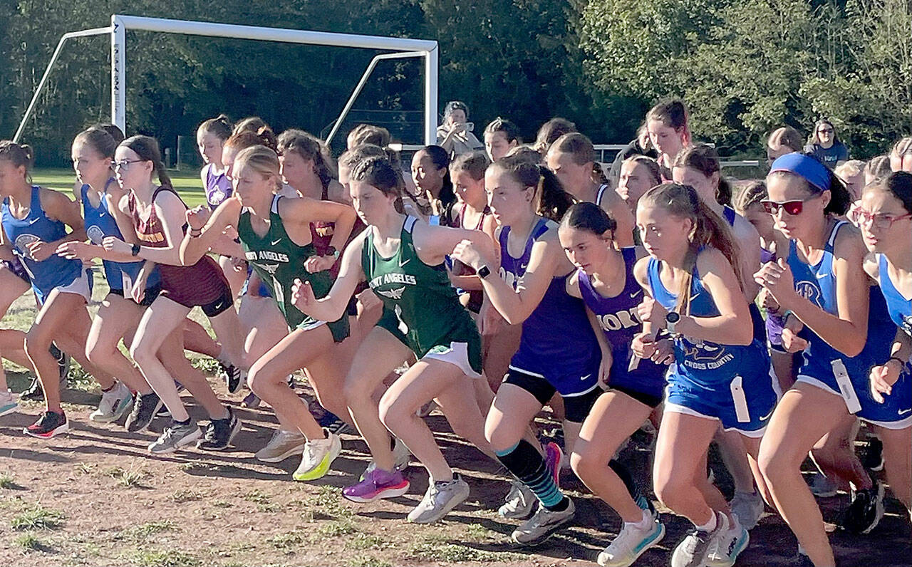 Port Angeles Cross Country Girls competitors begin the Olympic League Opener cross country race at Kingston High School on Wednesday. (Port Angeles Cross Country)