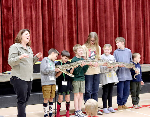 April Jackson, The Reptile Lady, speaks while students hold a 12-foot Burmese python named “Mr. Pickles” at Jefferson Elementary School in Port Angeles on Friday. The students, from left to right, are Braden Gray, Bennett Gray, Grayson Stern, Aubrey Whitaker, Cami Stern, Elliot Whitaker and Cole Gillilan. Jackson, a second-generation presenter, showed a variety of reptiles from turtles to iguanas. Her father, The Reptile Man, is Scott Peterson from Monroe, who started teaching about reptiles more than 35 years ago. (Dave Logan/for Peninsula Daily News)