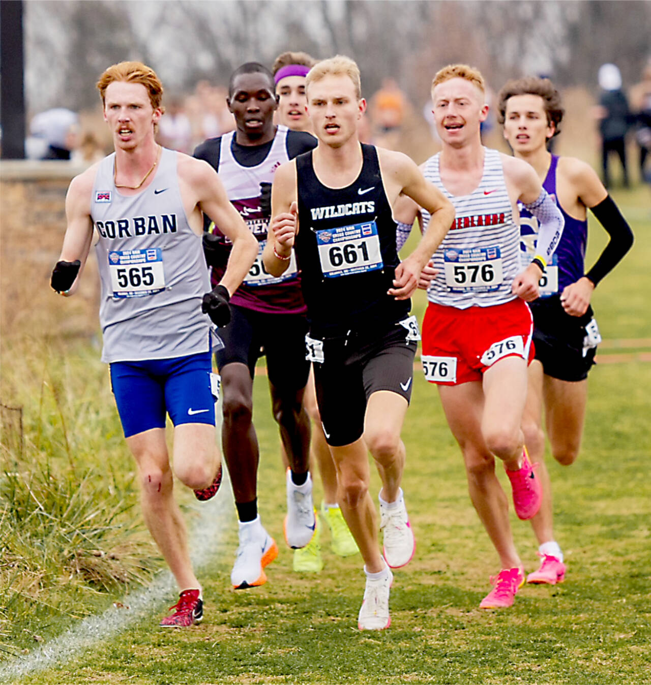 Corban College’s Jack Gladfelter, a Port Angeles High School graduate, runs in the NAIA nationals cross-country meet in Columbia, Mo., on Saturday. Gladfelter finished eighth in the nation. (Joe Gladfelter)