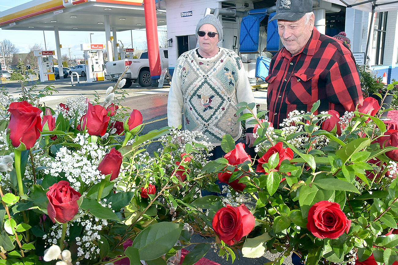 Fred Rix of Port Angeles, right, looks over floral arrangements with Ann O’Neill, an employee of Angel Crest Gardens of Port Angeles at a temporary stand at First and Race streets in Port Angeles on Valentine’s Day. Rix said he wanted roses for his wife, Wendy Rix, for their 55th wedding anniversary. (Keith Thorpe/Peninsula Daily News)