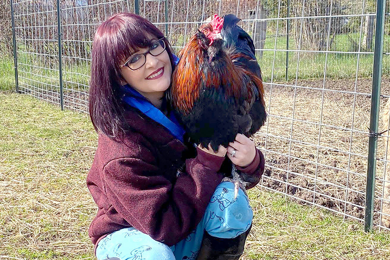 Shayna Robnett and Russell the rooster will be at the Blue Whole Gallery in Sequim during Friday’s Art Walk.