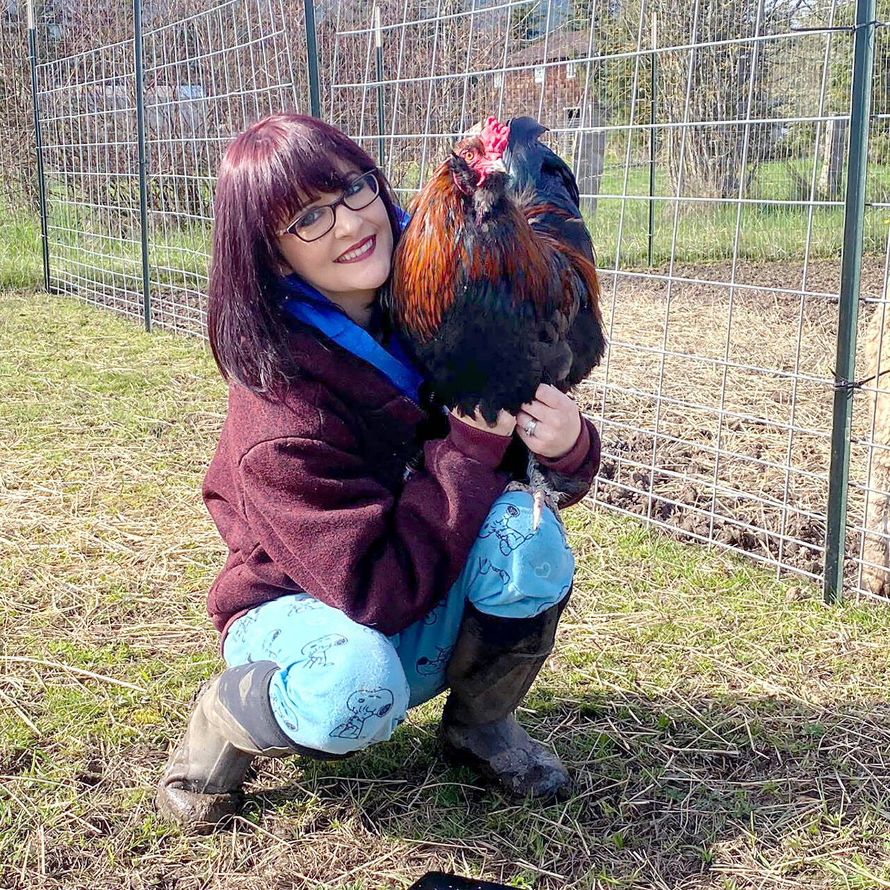 Shayna Robnett and Russell the rooster will be at the Blue Whole Gallery in Sequim during Friday’s Art Walk.