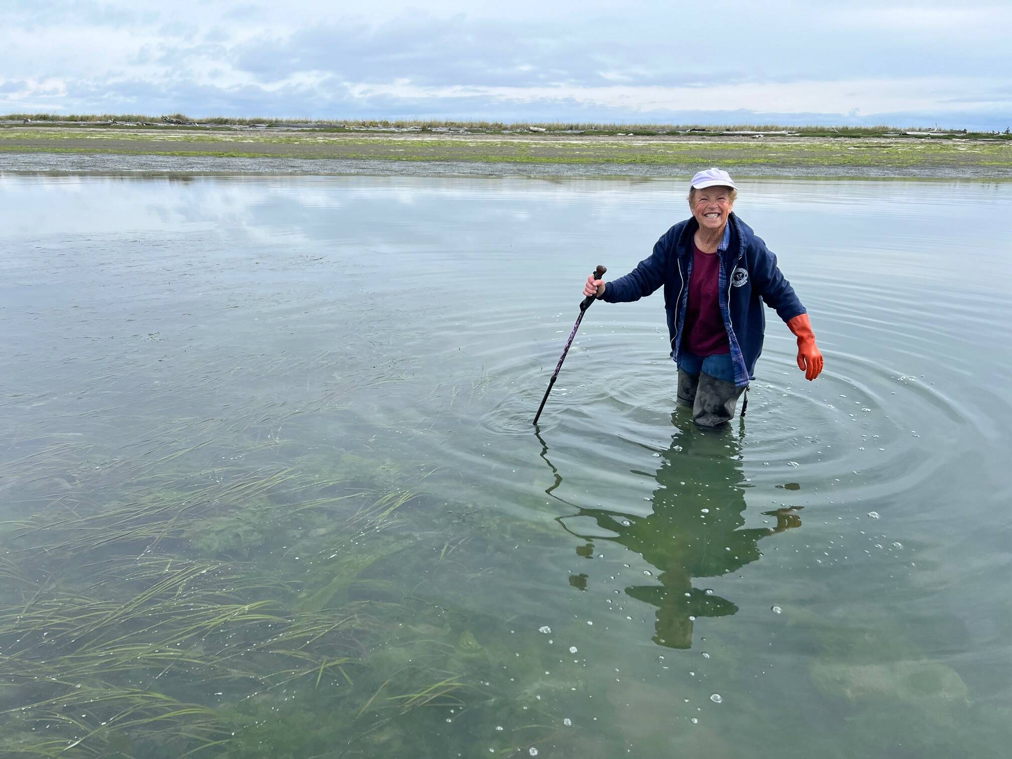 A volunteer helps at the Dungeness National Wildlife Refuge detect and trap European green crab. The refuge seeks more volunteers for various shifts from April to September or October by emailing Volunteer Coordinator Leshell Michaluk-Bergan at leshell@dungenessrivercenter.org. (Jamestown S’Klallam Tribe)