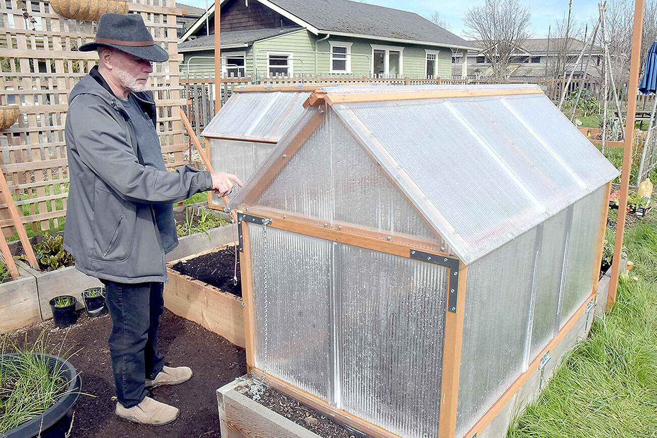 Milan Pohl of Port Angeles points out the features of a greenhouse he built to cover a portion of his plot at the Fifth Street Community Garden in Port Angeles. Pohl said on Friday that the greenhouse and a twin structure on an adjoining bed would be used to grow eggplant, peppers and other heat-loving plants. (Keith Thorpe/Peninsula Daily News)