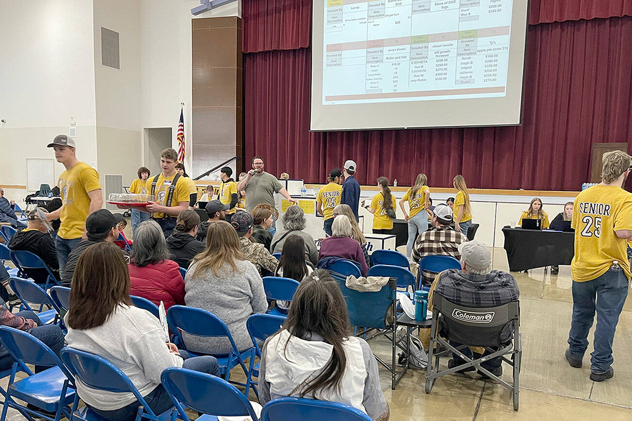 A Quillayute Valley Scholarship Auction one-day record was set on Saturday with $75,000 and an all-time record with auction items and cash donations totaled $218,002. The funds raised will go to Forks High School graduates for college and trade school scholarships. Forks High School class of 2025 seniors, in the yellow shirts, mill about the crowd, showing off auction items. Guest auctioneer Elliott Mann takes bids from the audience. Almost 900 items were auctioned during the two-day event. (Christi Baron/Olympic Peninsula News Group)