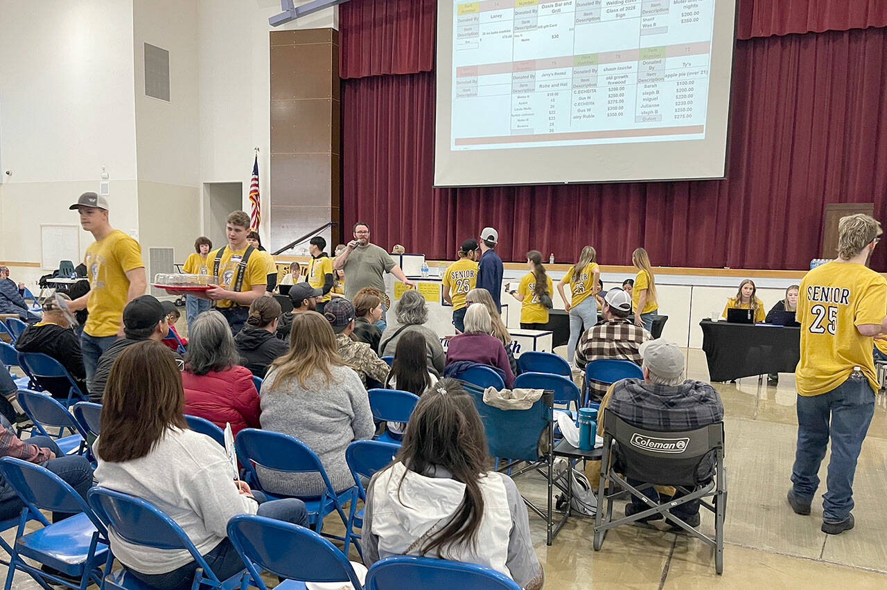 A Quillayute Valley Scholarship Auction one-day record was set on Saturday with $75,000 and an all-time record with auction items and cash donations totaled $218,002. The funds raised will go to Forks High School graduates for college and trade school scholarships. Forks High School class of 2025 seniors, in the yellow shirts, mill about the crowd, showing off auction items. Guest auctioneer Elliott Mann takes bids from the audience. Almost 900 items were auctioned during the two-day event. (Christi Baron/Olympic Peninsula News Group)