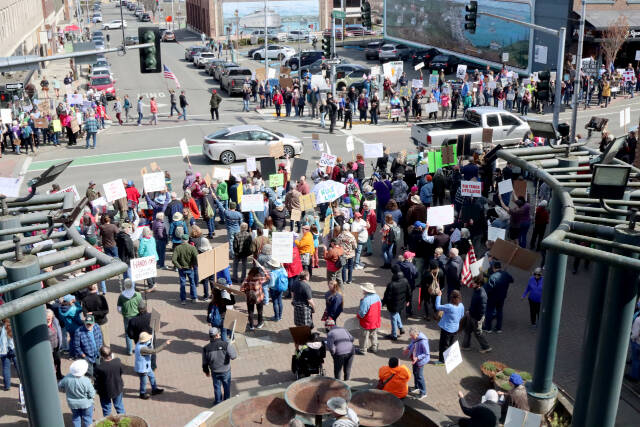 A portion of the crowd at the Hands Off rally, which started at the intersection of Laurel and First Street. An estimated 800 to 1,000 people attended in Port Angeles. (Dave Logan/For Peninsula Daily News)