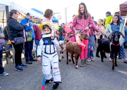 Heath Wade, 5, leads the goat parade to open the 37th annual Port Townsend Farmers Market on Saturday in the uptown neighborhood. Behind are goat wranglers Lindsey Kotzebue and Amber Langley of Port Townsend. (Steve Mullensky/for Peninsula Daily News)