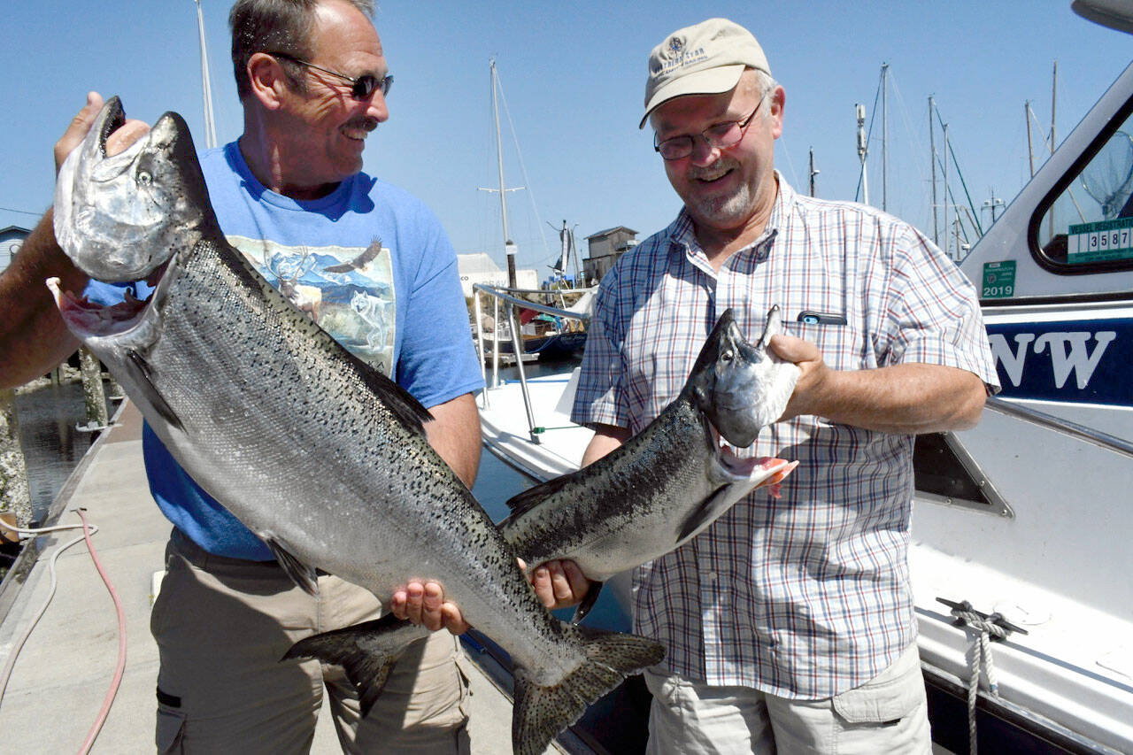 Marine Area 9 opened for migratory king salmon fishing Monday and angler/brothers Brad (left) and Bruce Monrad from Concrete, WA caught some large fish in the Admiralty Inlet. Brad’s salmon weighed in at 25 pounds, Bruce’s at 15. Captain Rich Olson of Northwest Fishing Charters from Everett said this is one of biggest hatchery chinook he’s seen in the Puget Sound in the 35 years he’s been chartering tours. (Jeannie McMacken/ Peninsula Daily News)