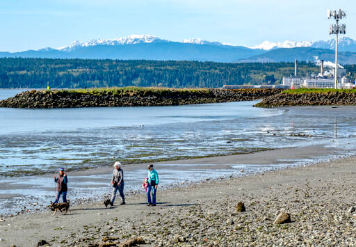 Three friends and their dogs take advantage of a low tide to enjoy morning beach walk along Port Townsend Bay. The snow-capped Olympic Mountains glow in the background. (Steve Mullensky/for Peninsula Daily News)