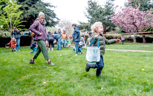 This excited toddler is focused on his next prize and misses the ones right in front of him during the 95th annual Port Townsend Elks Club Easter Egg Hunt at Chetzemoka Park on Sunday. Volunteers hid more than 1,500 plastic eggs around the park with some redeemable for prizes. (Steve Mullensky/for Peninsula Daily News)