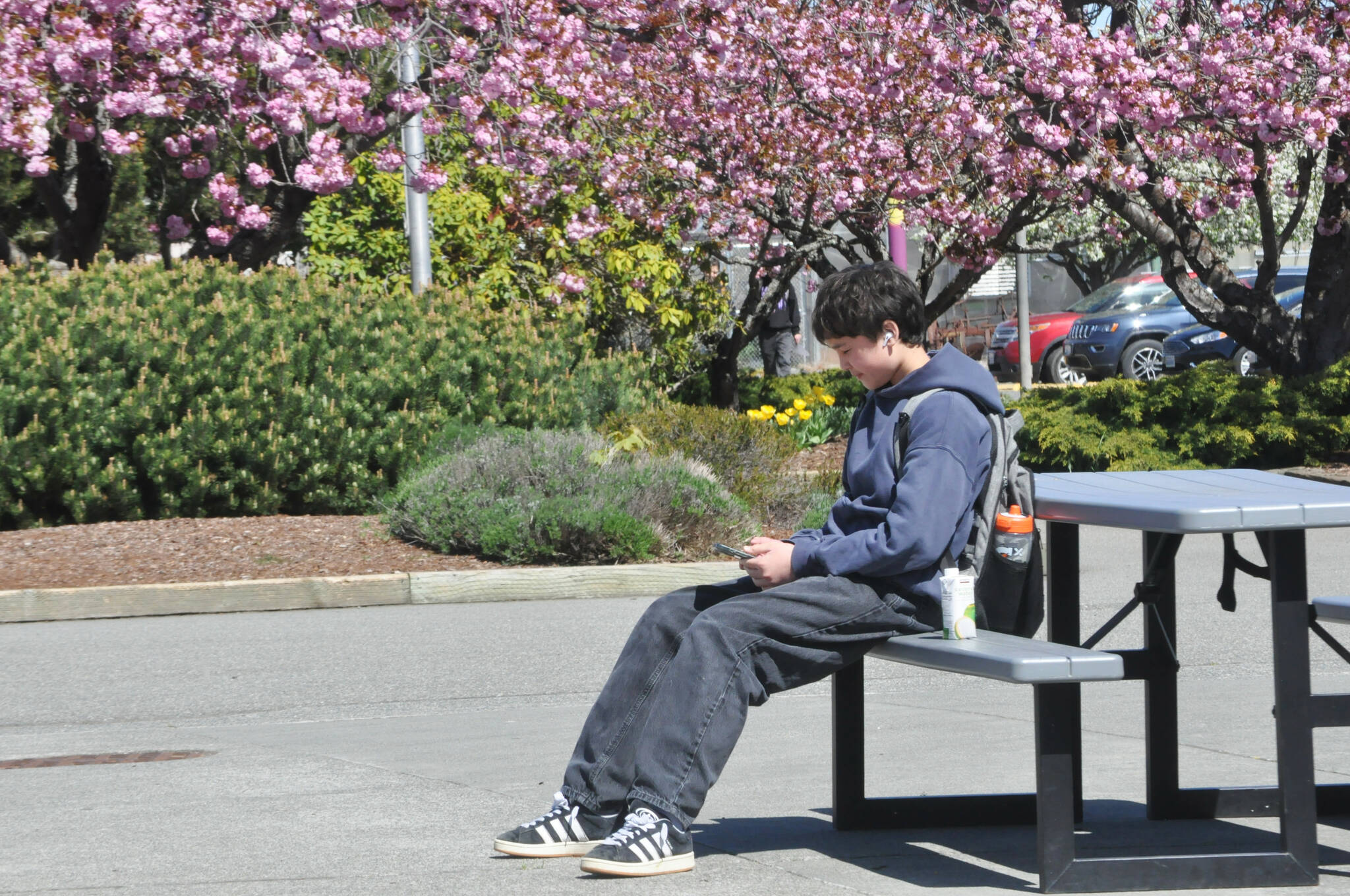 Sequim High School freshman Sebastian Greimes sits outside during a lunch break. He opposes a total ban on cell phones as he feels it could “be more harmful than helpful” as some students need to communicate with parents or their workplace. Sequim School District leaders plan to send out a survey in June asking families and school staffers their thoughts on cell phone usage in schools. (Matthew Nash/Olympic Peninsula News Group)