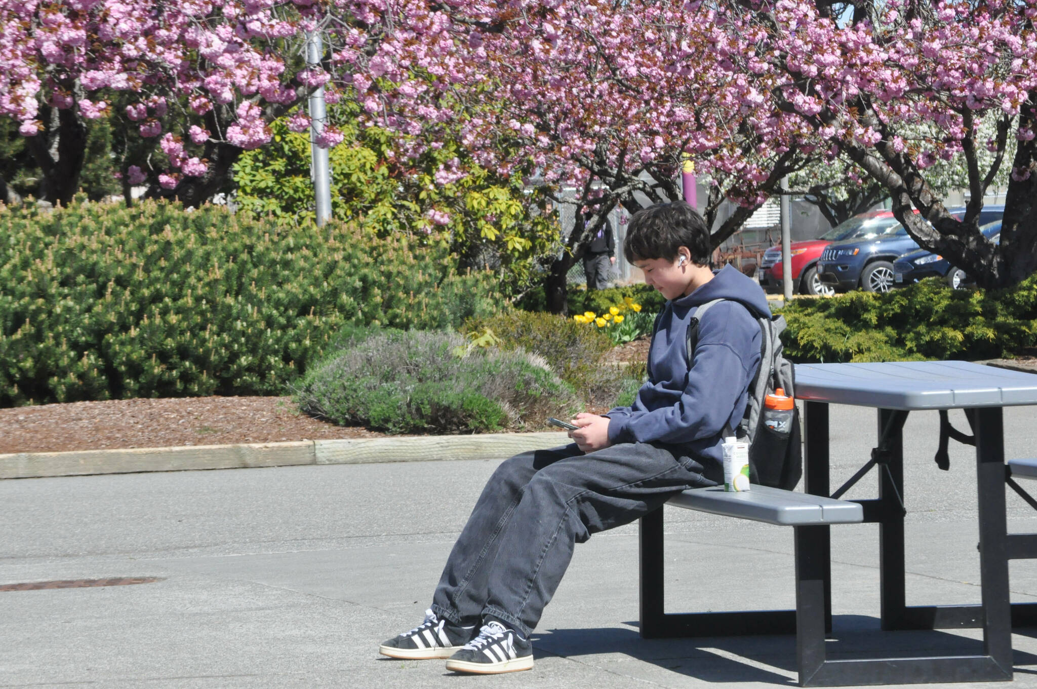 Sequim High School freshman Sebastian Greimes sits outside during a lunch break. He opposes a total ban on cell phones as he feels it could “be more harmful than helpful” as some students need to communicate with parents or their workplace. Sequim School District leaders plan to send out a survey in June asking families and school staffers their thoughts on cell phone usage in schools. (Matthew Nash/Olympic Peninsula News Group)