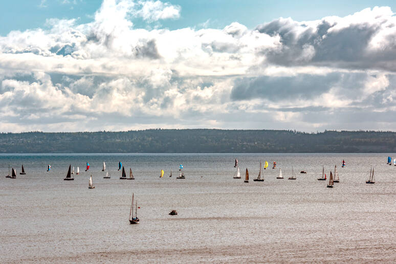 Some of the 90 sailboats in the annual 2025 Race to the Strait, from Shilshole to Port Townsend, depart Sunday on the homeward leg of the two-day race. The racers come to Port Townsend to spend the night before leaving on a downwind run home. (Steve Mullensky/for Peninsula Daily News)