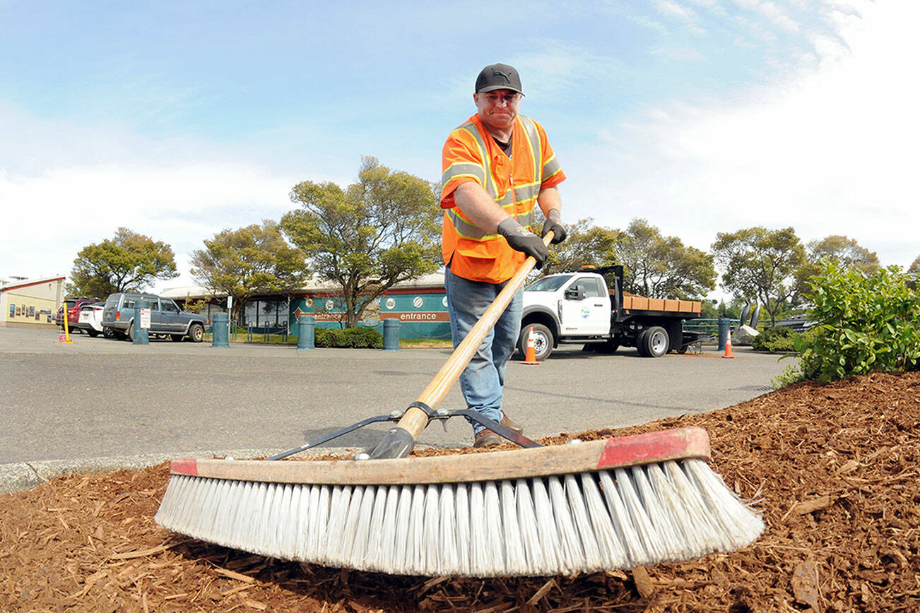 Chad Dobbs, a seasonal worker with the Port Angeles Parks and Recreation Department, smooths out a bed of wood chips on a traffic island on Tuesday in the parking lot at Port Angeles City Pier. Dobbs said the shredded wood adds a decorative touch for tourists and pier visitors. (Keith Thorpe/Peninsula Daily News)
