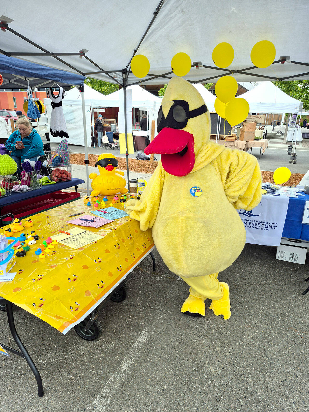 Volunteer Pam Scott dresses the part as she sells ducks for the Great Olympic Peninsula Duck Derby at the Sequim Farmers and Artisans Market on Saturday. (Leah Leach/for Peninsula Daily News)