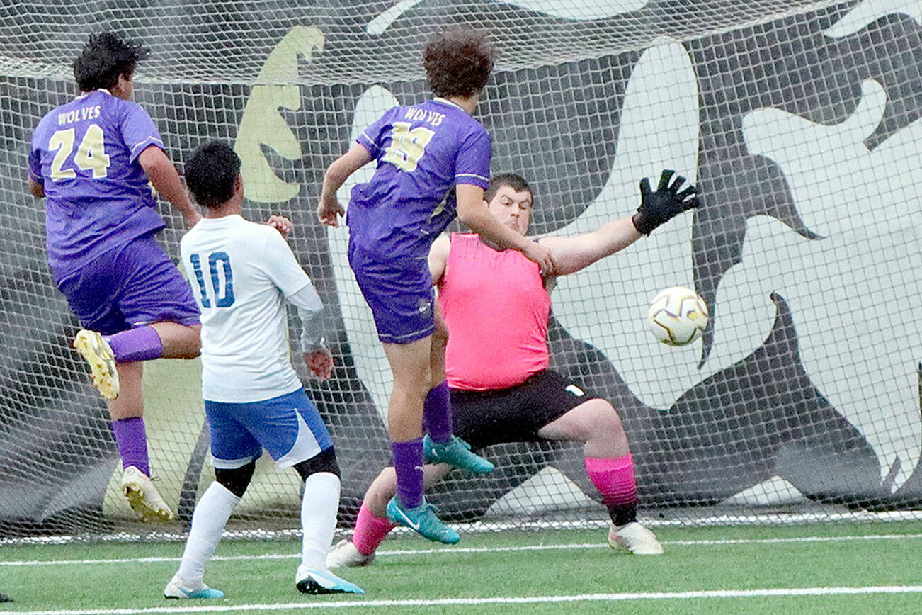 Sequim’s Nico Musso, third from left, scores the second goal the Wolves’ 2-0 Class 2A West Central District Tournament victory over Bremerton on Thursday at Peninsula College’s Wally Sigmar Field. (Dave Logan/for Peninsula Daily News)